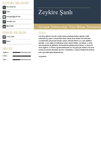 Hasta ve Yaşlı Bakım Elemanı Cv Örnekleri cv indir